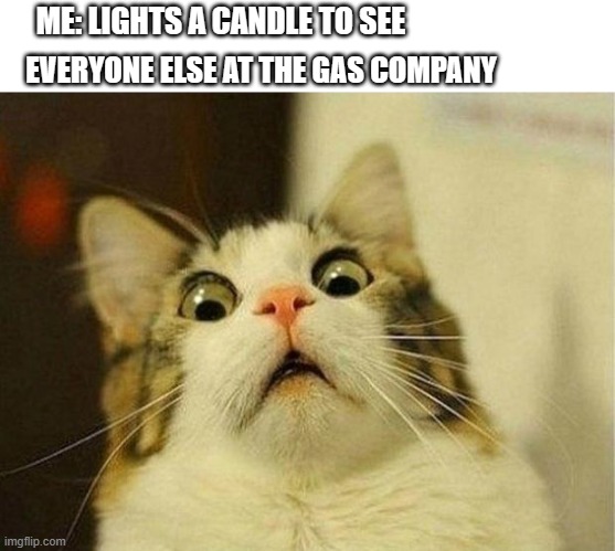 Nooooooo! | ME: LIGHTS A CANDLE TO SEE; EVERYONE ELSE AT THE GAS COMPANY | image tagged in memes,scared cat | made w/ Imgflip meme maker