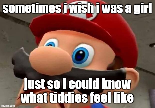 keep in mind that i am, in fact, transphobic. | sometimes i wish i was a girl; just so i could know what tiddies feel like | image tagged in mario wtf | made w/ Imgflip meme maker