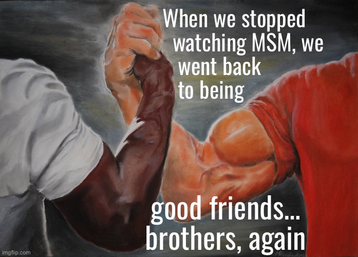 We were being manipulated | When we stopped
  watching MSM, we
   went back
   to being; good friends… brothers, again | image tagged in memes,epic handshake,leftists r an evil lot,no values no principles,progressives fjb voters kissmyass | made w/ Imgflip meme maker