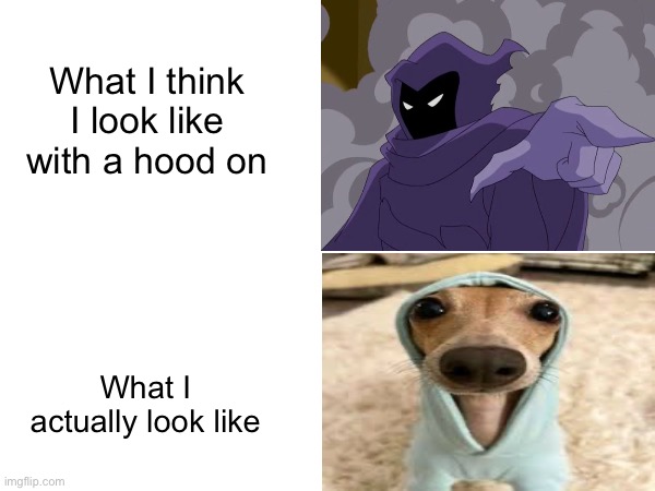 Who reads these? | What I think I look like with a hood on; What I actually look like | image tagged in relatable | made w/ Imgflip meme maker