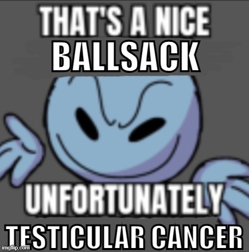 That’s a nick (blank) | BALLSACK; TESTICULAR CANCER | image tagged in that s a nick blank | made w/ Imgflip meme maker