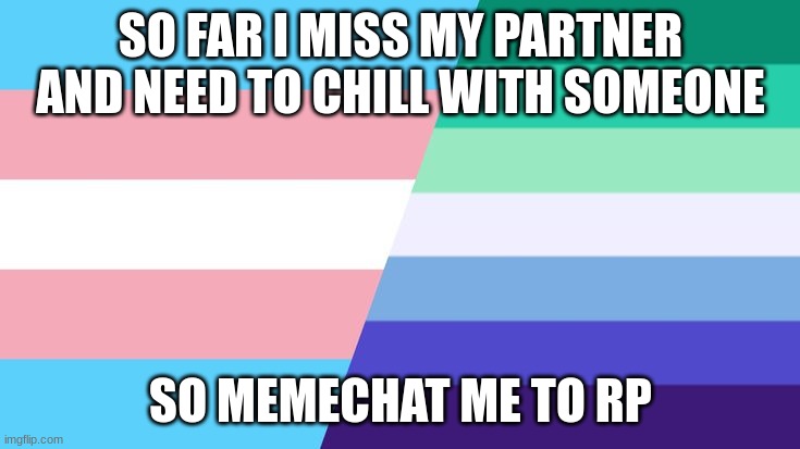 gay | SO FAR I MISS MY PARTNER AND NEED TO CHILL WITH SOMEONE; SO MEMECHAT ME TO RP | image tagged in gay | made w/ Imgflip meme maker
