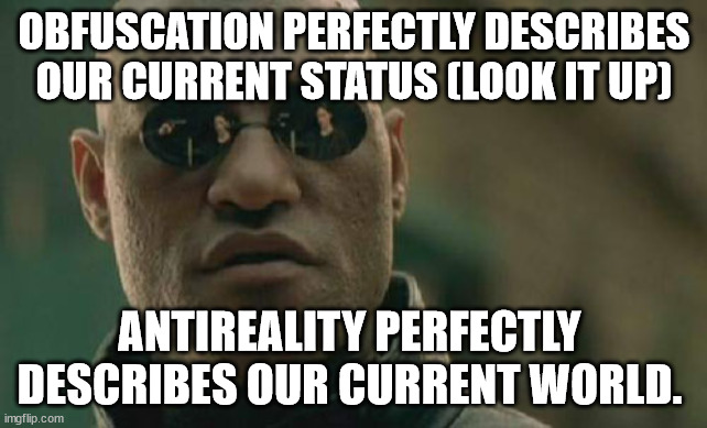 Are you capable of deep thought? | OBFUSCATION PERFECTLY DESCRIBES OUR CURRENT STATUS (LOOK IT UP); ANTIREALITY PERFECTLY  DESCRIBES OUR CURRENT WORLD. | image tagged in memes,matrix morpheus | made w/ Imgflip meme maker