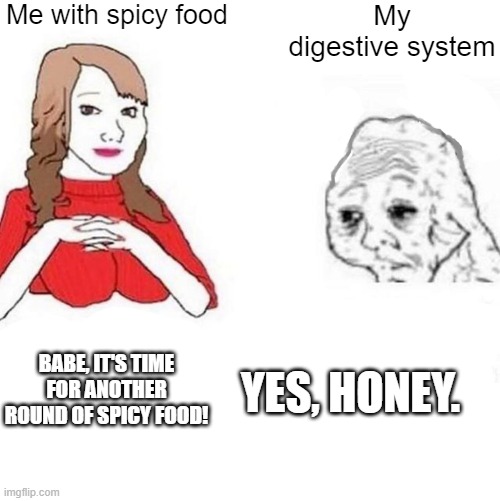 My digestive system is angry at me rn... | Me with spicy food; My digestive system; BABE, IT'S TIME FOR ANOTHER ROUND OF SPICY FOOD! YES, HONEY. | image tagged in yes honey | made w/ Imgflip meme maker