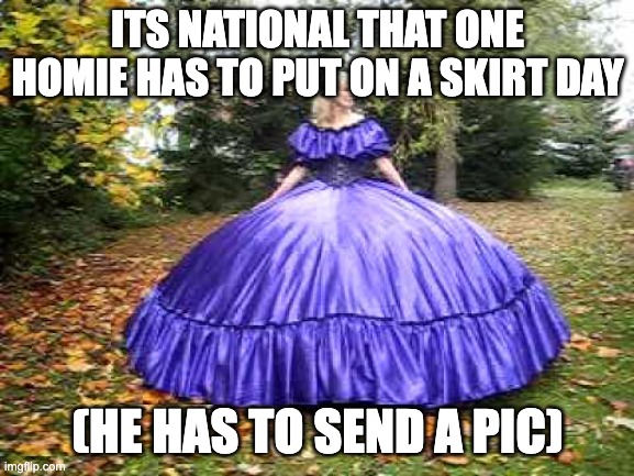he must do it for the boys | ITS NATIONAL THAT ONE HOMIE HAS TO PUT ON A SKIRT DAY; (HE HAS TO SEND A PIC) | image tagged in social distance hoop skirt | made w/ Imgflip meme maker