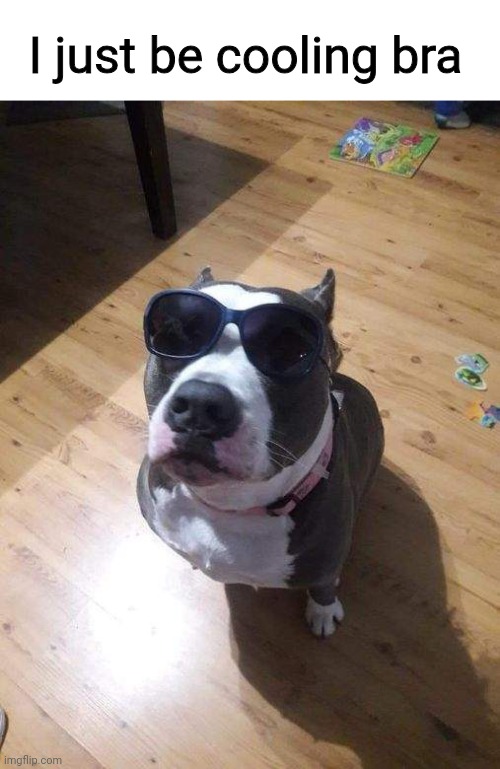 I miss my old dog sm | I just be cooling bra | made w/ Imgflip meme maker
