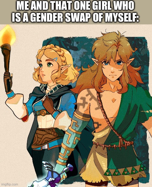 Random ahh post | ME AND THAT ONE GIRL WHO IS A GENDER SWAP OF MYSELF: | image tagged in random ahh | made w/ Imgflip meme maker