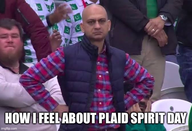 Spirit Day -Plaid | HOW I FEEL ABOUT PLAID SPIRIT DAY | image tagged in disappointed man | made w/ Imgflip meme maker
