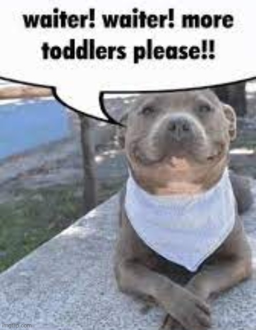 This made me laugh | image tagged in waiter waiter more toddlers please | made w/ Imgflip meme maker