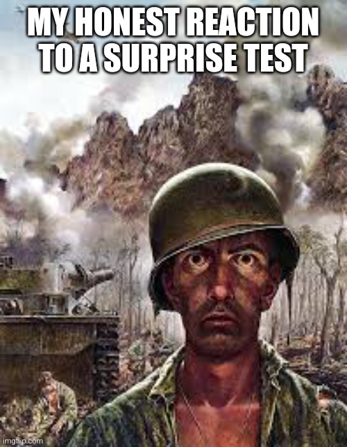 Why do tests exist | MY HONEST REACTION TO A SURPRISE TEST | image tagged in thousand yard stare | made w/ Imgflip meme maker