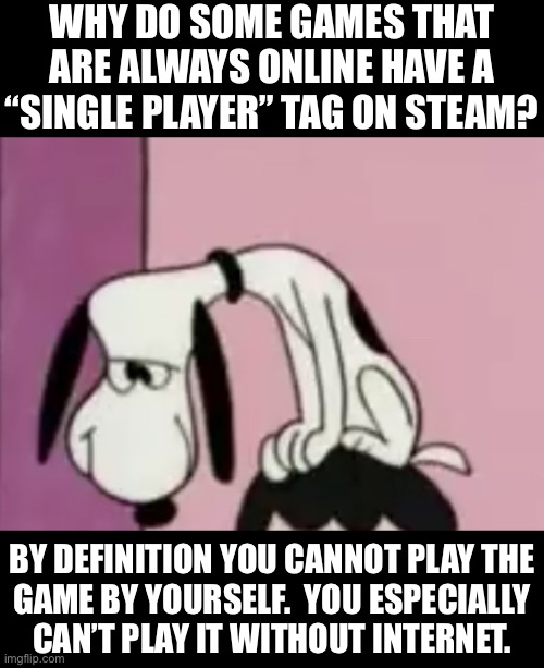 The snoops | WHY DO SOME GAMES THAT ARE ALWAYS ONLINE HAVE A “SINGLE PLAYER” TAG ON STEAM? BY DEFINITION YOU CANNOT PLAY THE
GAME BY YOURSELF.  YOU ESPECIALLY
CAN’T PLAY IT WITHOUT INTERNET. | image tagged in the snoops | made w/ Imgflip meme maker