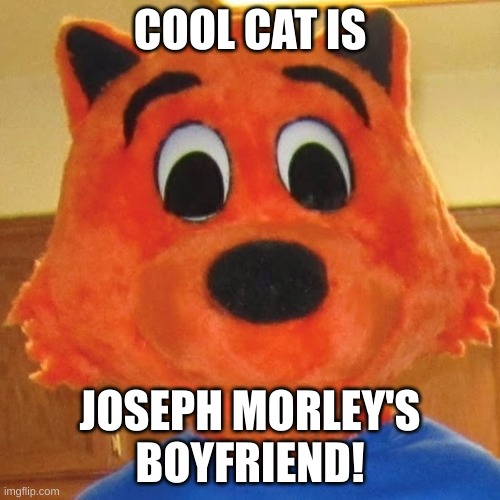 Cool Cat | COOL CAT IS; JOSEPH MORLEY'S BOYFRIEND! | image tagged in cool cat | made w/ Imgflip meme maker