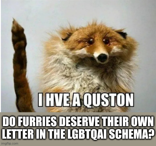 This seems like an important question | DO FURRIES DESERVE THEIR OWN
LETTER IN THE LGBTQAI SCHEMA? | image tagged in i hve a quston | made w/ Imgflip meme maker