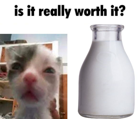 Is it really worth it? | image tagged in is it really worth it | made w/ Imgflip meme maker