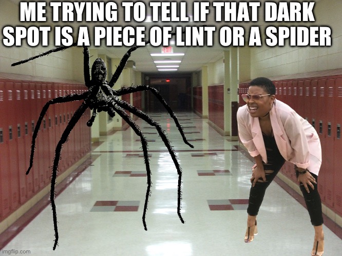 Especially when you have bad eyesight :( | ME TRYING TO TELL IF THAT DARK SPOT IS A PIECE OF LINT OR A SPIDER | image tagged in hallway and lockers | made w/ Imgflip meme maker