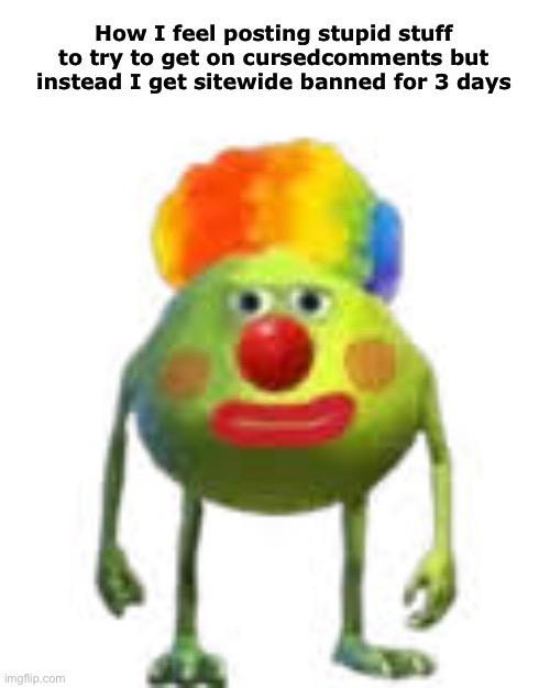 How I feel posting stupid stuff to try to get on cursedcomments but instead I get sitewide banned for 3 days | made w/ Imgflip meme maker