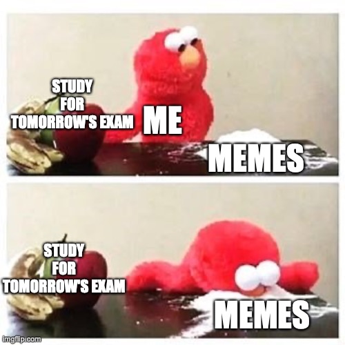 That's what I am doing rn | STUDY FOR TOMORROW'S EXAM; ME; MEMES; STUDY FOR TOMORROW'S EXAM; MEMES | image tagged in elmo cocaine | made w/ Imgflip meme maker