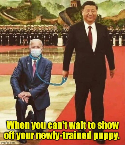 Biden is China's dog | When you can't wait to show off your newly-trained puppy. | image tagged in biden is china's dog | made w/ Imgflip meme maker