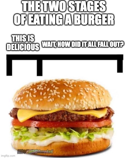 THE TWO STAGES OF EATING A BURGER; THIS IS DELICIOUS; WAIT, HOW DID IT ALL FALL OUT? | made w/ Imgflip meme maker