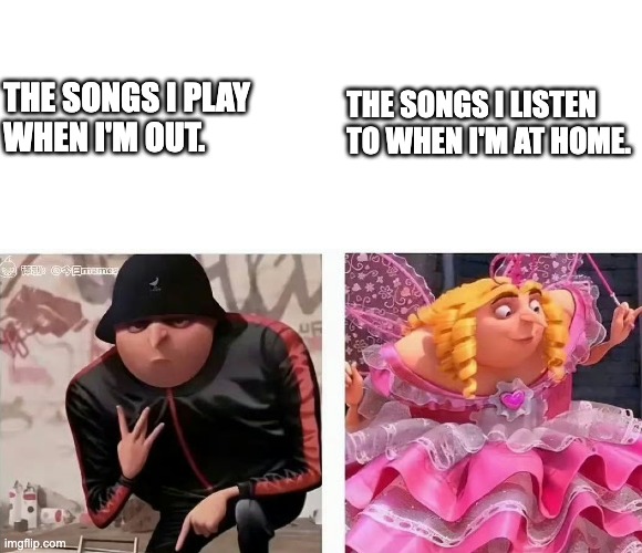 THE SONGS I PLAY 
WHEN I'M OUT. THE SONGS I LISTEN TO WHEN I'M AT HOME. | made w/ Imgflip meme maker
