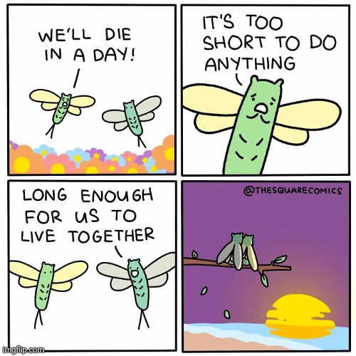 Together until death does them apart | image tagged in bugs,death,together,comics,comics/cartoons,live | made w/ Imgflip meme maker