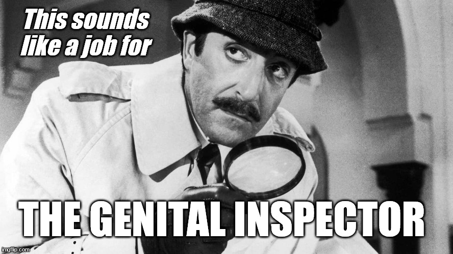 The Genital Inspector | This sounds like a job for; THE GENITAL INSPECTOR | image tagged in genital inspector,transgender bathroom,womens rights | made w/ Imgflip meme maker