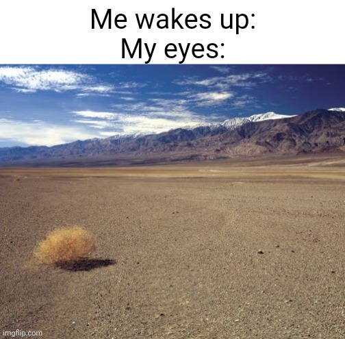 Uruxeec7ex7qixj8jwxi | Me wakes up:
My eyes: | image tagged in blank white template,desert tumbleweed | made w/ Imgflip meme maker