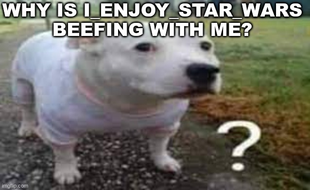 Question mark dog | WHY IS I_ENJOY_STAR_WARS BEEFING WITH ME? | image tagged in question mark dog | made w/ Imgflip meme maker