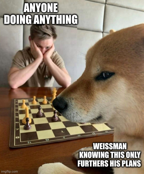 Chess doge | ANYONE DOING ANYTHING; WEISSMAN KNOWING THIS ONLY FURTHERS HIS PLANS | image tagged in chess doge | made w/ Imgflip meme maker