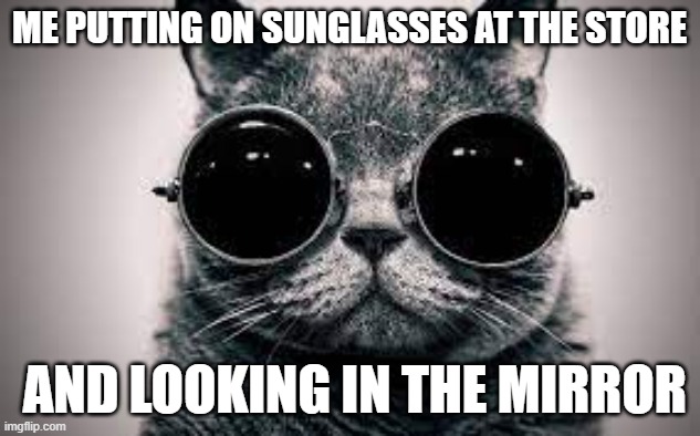 Cool Cat | ME PUTTING ON SUNGLASSES AT THE STORE; AND LOOKING IN THE MIRROR | image tagged in cool,cat,funny | made w/ Imgflip meme maker