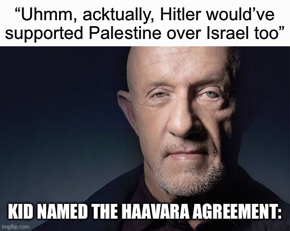He literally sided with “Israel” over Palestine | “Uhmm, acktually, Hitler would’ve supported Palestine over Israel too”; KID NAMED THE HAAVARA AGREEMENT: | image tagged in kid named | made w/ Imgflip meme maker
