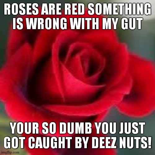 two for one! (sorry) | ROSES ARE RED SOMETHING IS WRONG WITH MY GUT; YOUR SO DUMB YOU JUST GOT CAUGHT BY DEEZ NUTS! | image tagged in roses are red,deez nuts,deez nutz | made w/ Imgflip meme maker