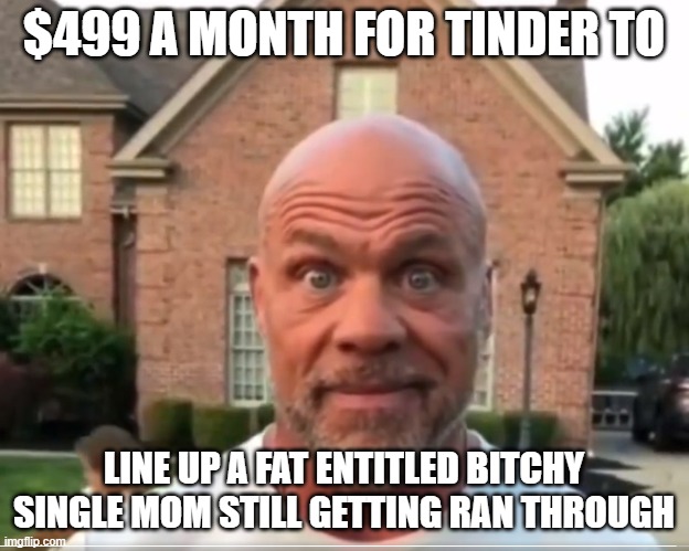 When hobbies are cheaper and more satisfying | $499 A MONTH FOR TINDER TO; LINE UP A FAT ENTITLED BITCHY SINGLE MOM STILL GETTING RAN THROUGH | image tagged in dating,online dating,internet dating,single,single life,tinder | made w/ Imgflip meme maker