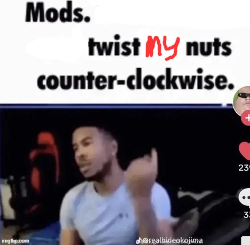 hello chat | image tagged in mods twist nuts counter clockwise | made w/ Imgflip meme maker
