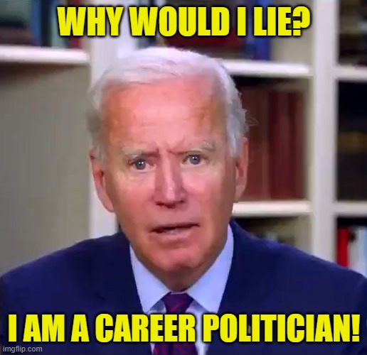 Slow Joe Biden Dementia Face | WHY WOULD I LIE? I AM A CAREER POLITICIAN! | image tagged in slow joe biden dementia face | made w/ Imgflip meme maker