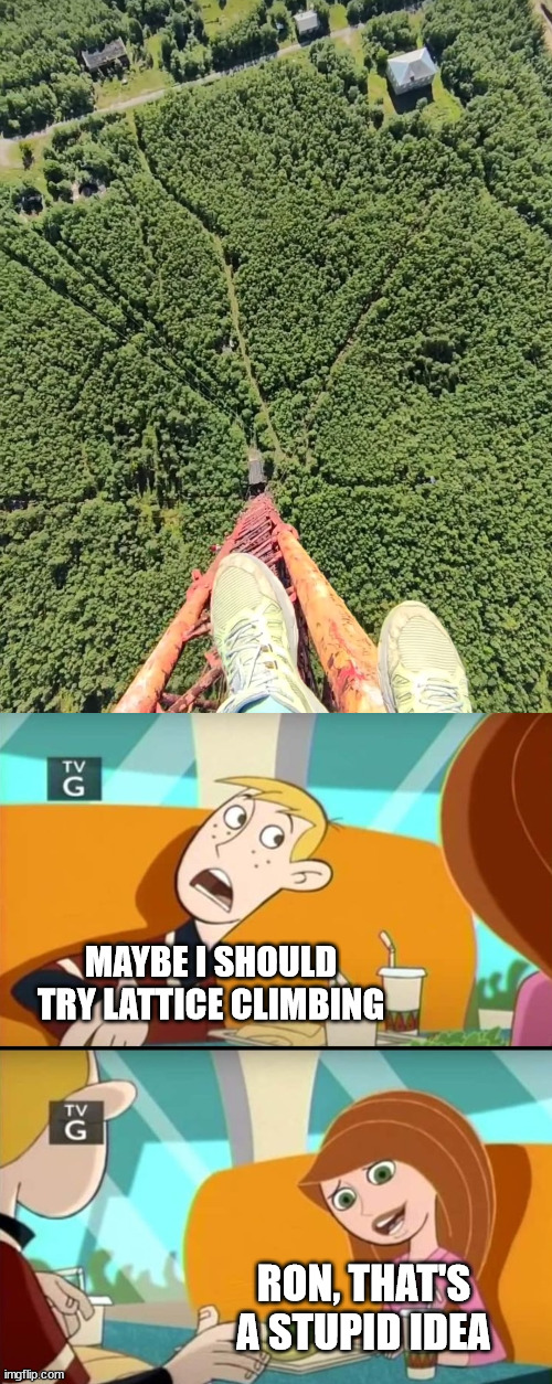Kim and Ron | MAYBE I SHOULD TRY LATTICE CLIMBING; RON, THAT'S A STUPID IDEA | image tagged in lattice climbing,kim possible,ron,meme,memes,template | made w/ Imgflip meme maker