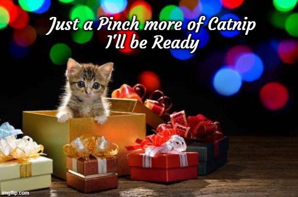 Just a Pinch more of Catnip
I'll be Ready | image tagged in cats,catnip | made w/ Imgflip meme maker