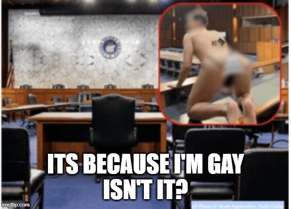 Homophobics | ITS BECAUSE I'M GAY
ISN'T IT? | image tagged in homophobic,homophobia,homophobe,gay,gay pride,senate | made w/ Imgflip meme maker