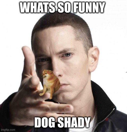 I was thinking of this all night | WHATS SO FUNNY; DOG SHADY | image tagged in eminem video game logic | made w/ Imgflip meme maker