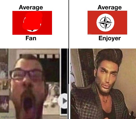 Average Fan vs. Average Enjoyer | image tagged in average fan vs average enjoyer | made w/ Imgflip meme maker