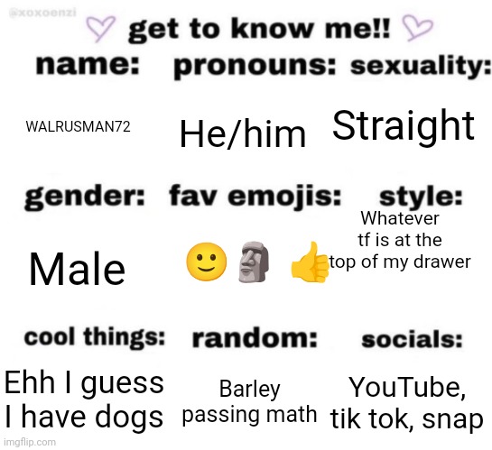 Hehe | Straight; WALRUSMAN72; He/him; Whatever tf is at the top of my drawer; 🙂🗿 👍; Male; YouTube, tik tok, snap; Barley passing math; Ehh I guess I have dogs | image tagged in get to know me but better | made w/ Imgflip meme maker