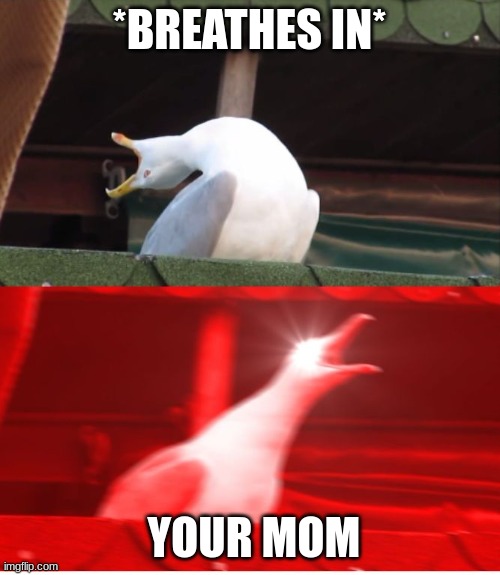Screamin seagull | *BREATHES IN* YOUR MOM | image tagged in screamin seagull | made w/ Imgflip meme maker