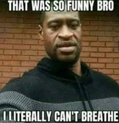 That was so funny bro i literally can't breathe | image tagged in that was so funny bro i literally can't breathe | made w/ Imgflip meme maker