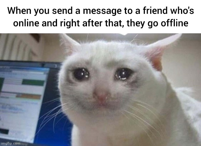 When you send a message to a friend | image tagged in sad but true,friends,funny | made w/ Imgflip meme maker