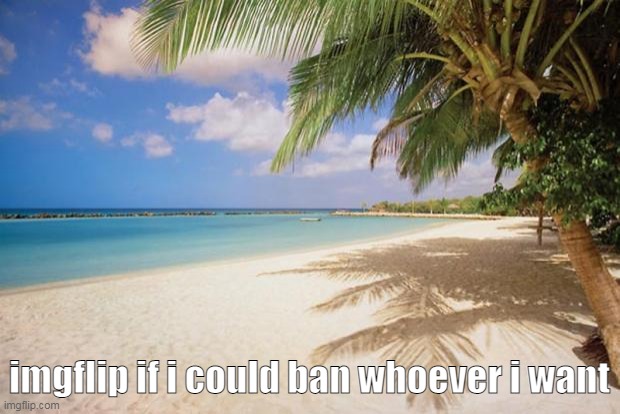 also if onions didnt exist | imgflip if i could ban whoever i want | made w/ Imgflip meme maker