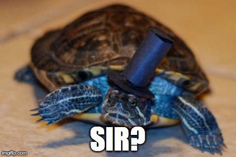 SIR? | made w/ Imgflip meme maker