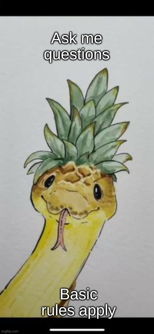 pinapple snek | Ask me questions; Basic rules apply | image tagged in pinapple snek | made w/ Imgflip meme maker