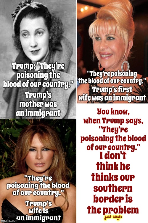 I Don't Think Donald Hates Immigrants.  I Think He Hates Independent Women | I don't think he thinks our southern border is the problem; You know, when Trump says, "They're poisoning the blood of our country."; just sayin | image tagged in memes,scumbag trump,scumbag maga,immigrants,trump praises hitler,lock him up | made w/ Imgflip meme maker