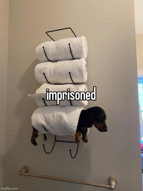 Imprisoned | image tagged in imprisoned | made w/ Imgflip meme maker