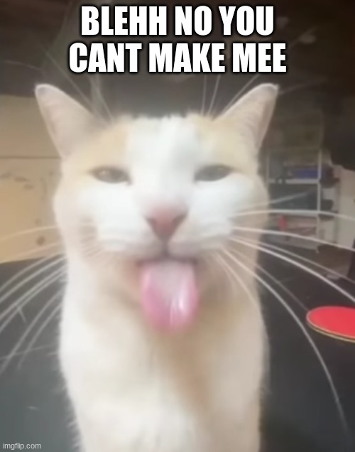 Blehhh no you cant make meee | BLEHH NO YOU CANT MAKE MEE | image tagged in blehhh noo you cant make meee,furry | made w/ Imgflip meme maker